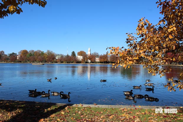 Boat Lake - Byrd Park - Waters in Autumn