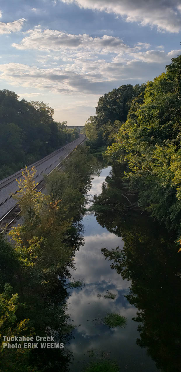 Tuckahoe Creek by Westover Hills Boulevard Bridge Tuckahoe Creek by Westover Hills Boulevard Bridge