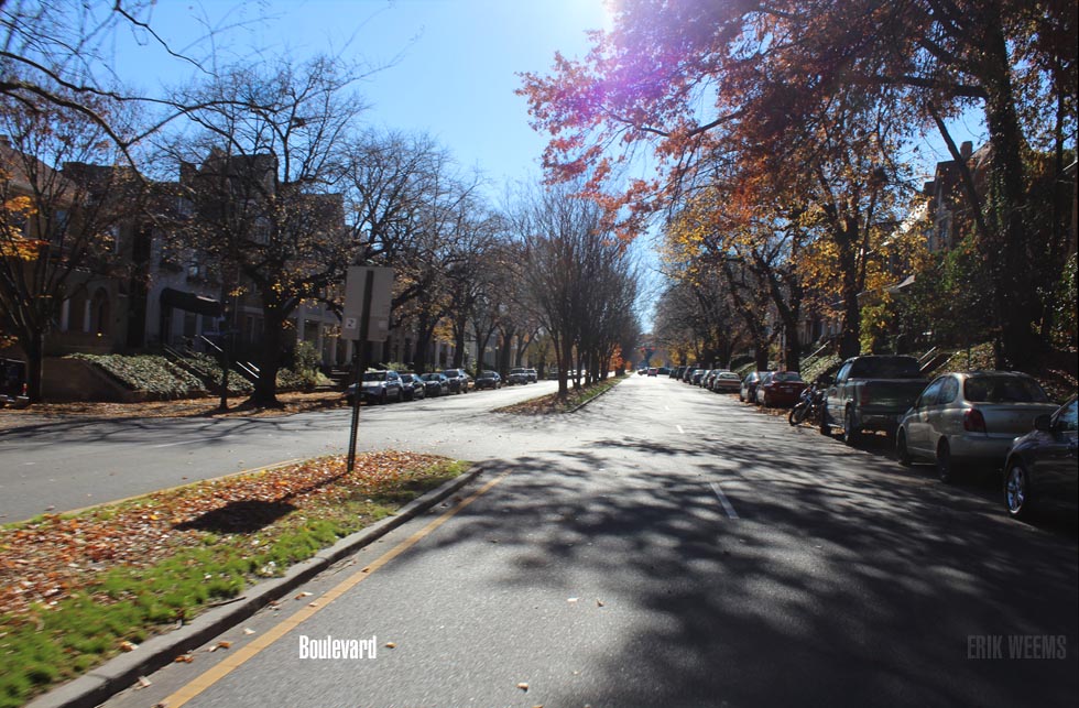 Boulevard Richmond VA Autumn