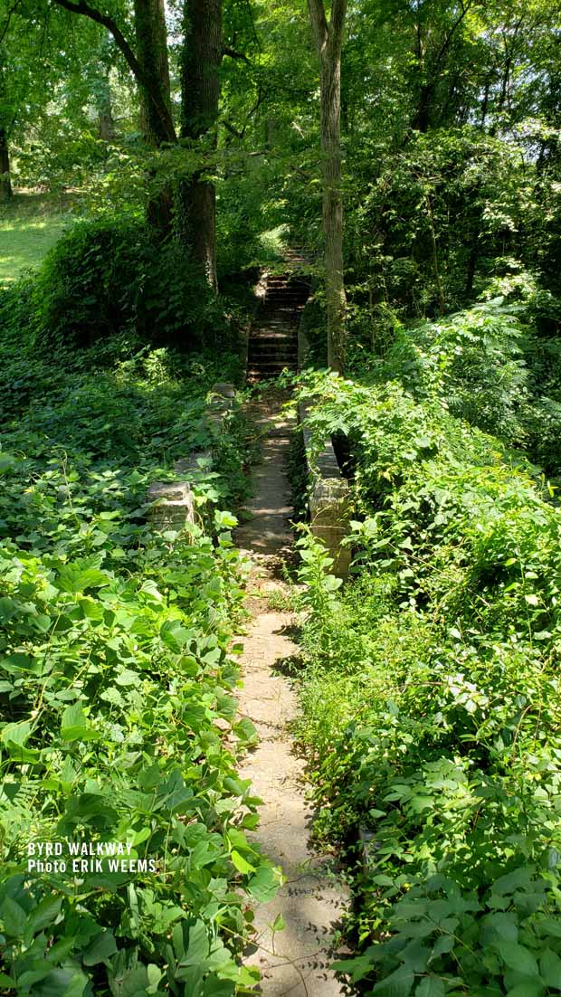 Greenway under the stone walkway 