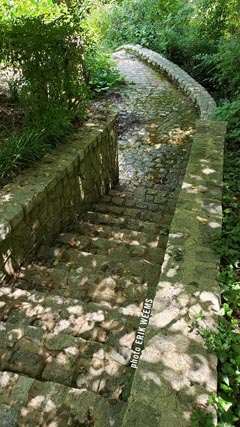 Stone walkway at Byrd Park