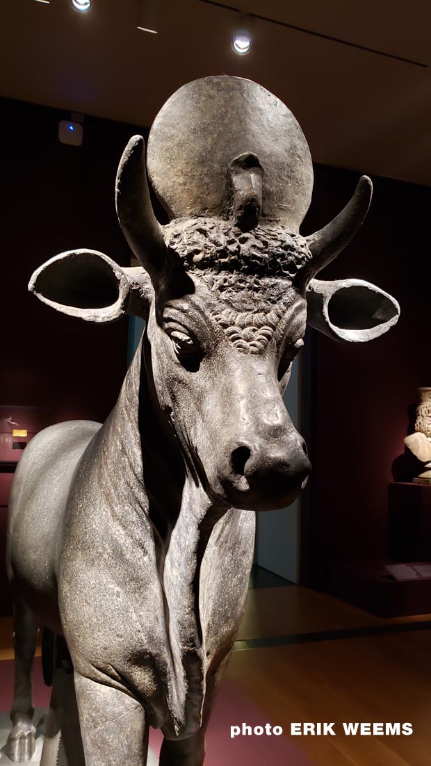 Cattle sculpture Sunken Cities of Egypt