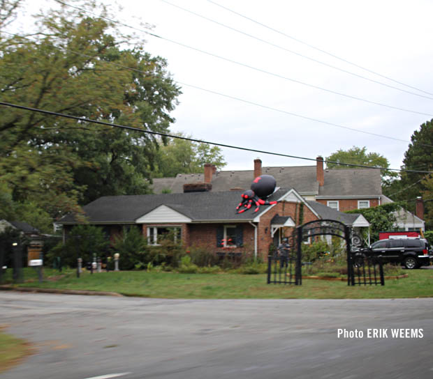 Forest Ave. Spider atop house