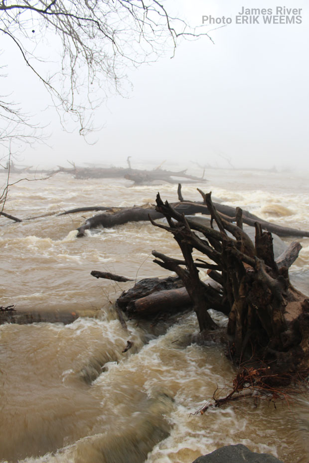 Choppy, muddy waters of the James River in winter