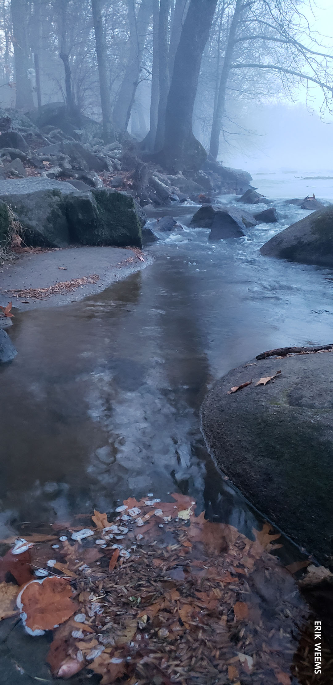 Fog along the James River