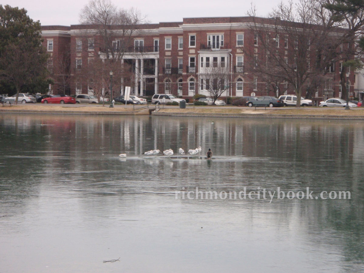 Frozen water