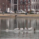 Frozen Fountain Lake